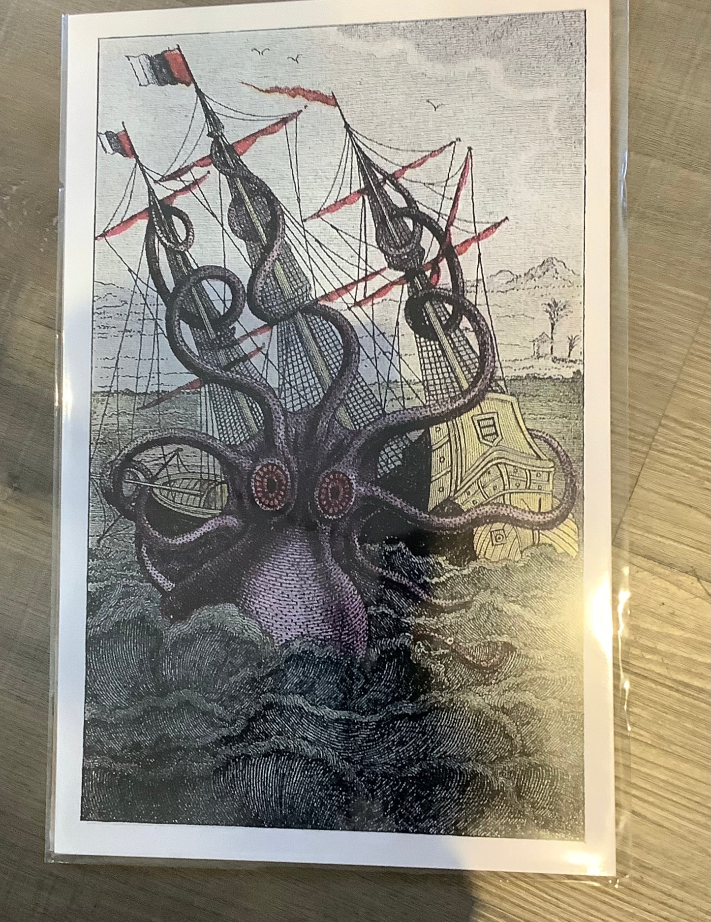 Large Art print in Bag 11x17