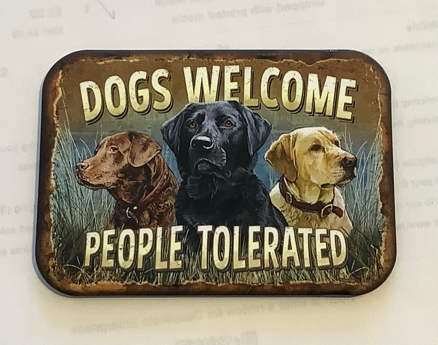 Dogs Welcome magnet.
