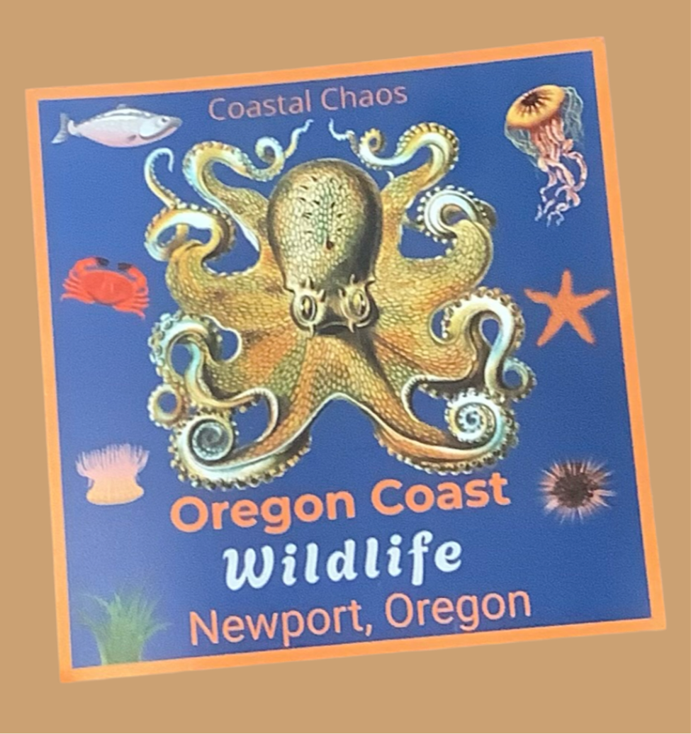 Octopus Sticker wildlife .CC