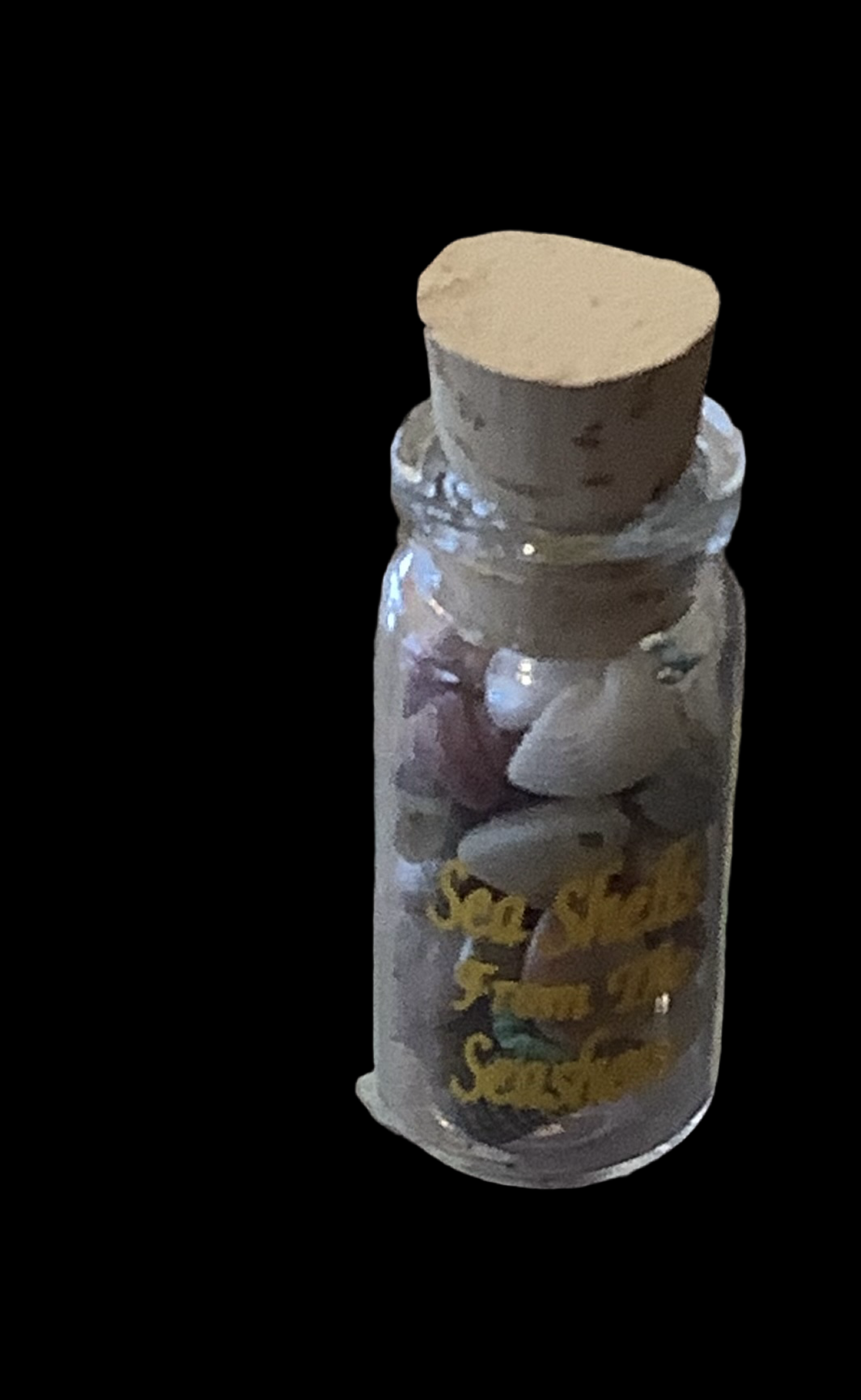 Sea shells from the seashore . Cc