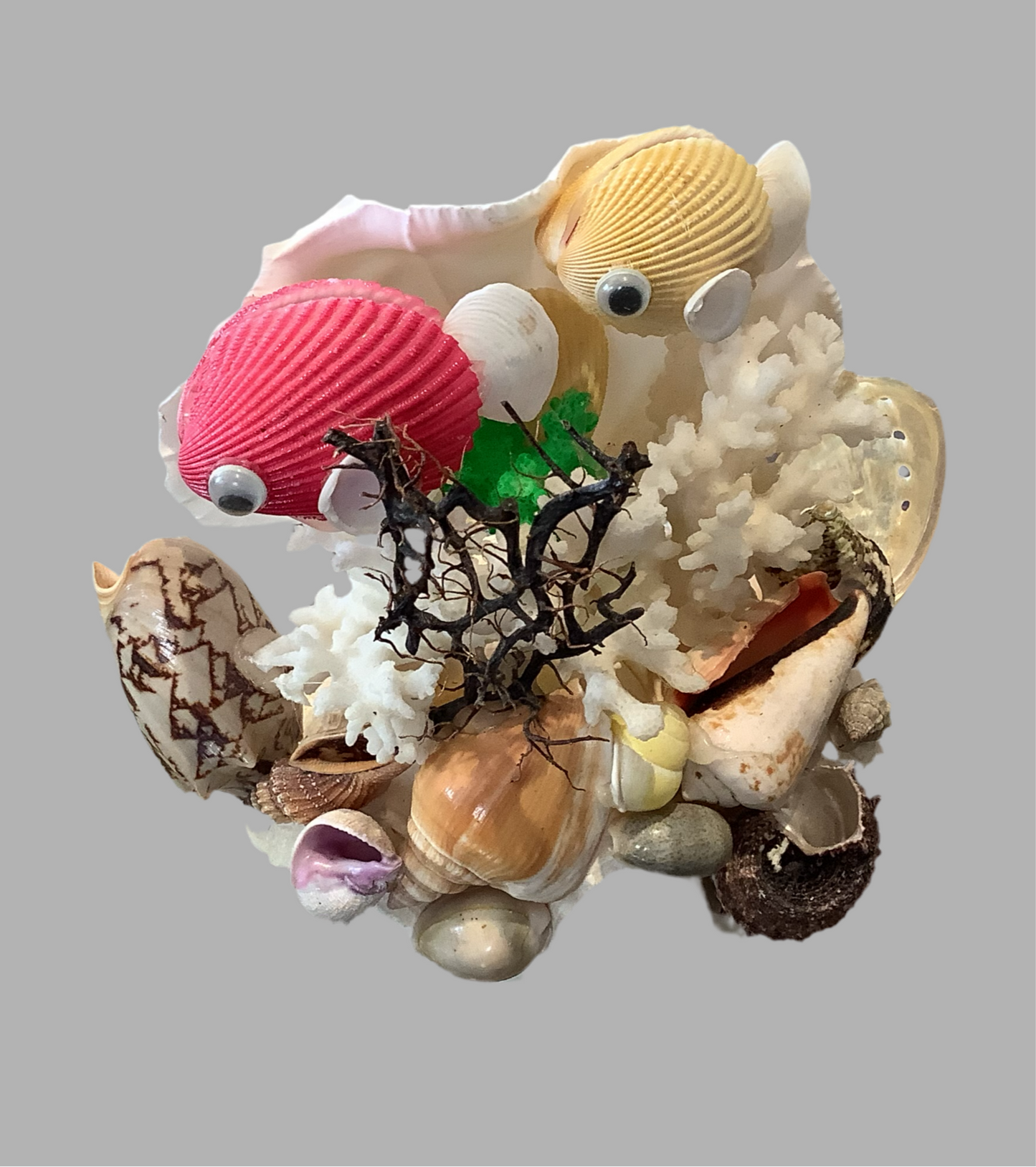 Sea shell ocean scene.Cc