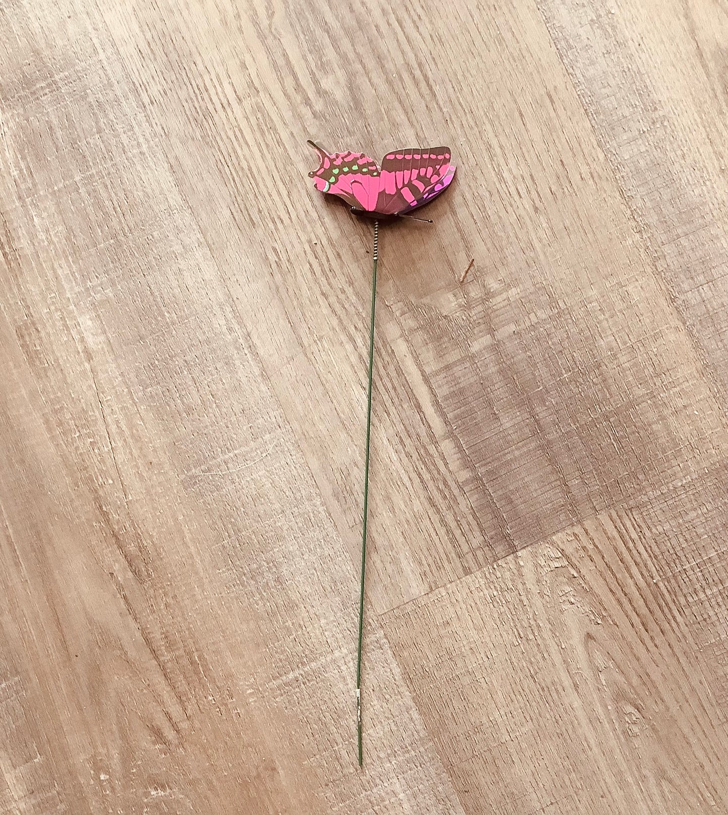 Butterfly on stake. CC