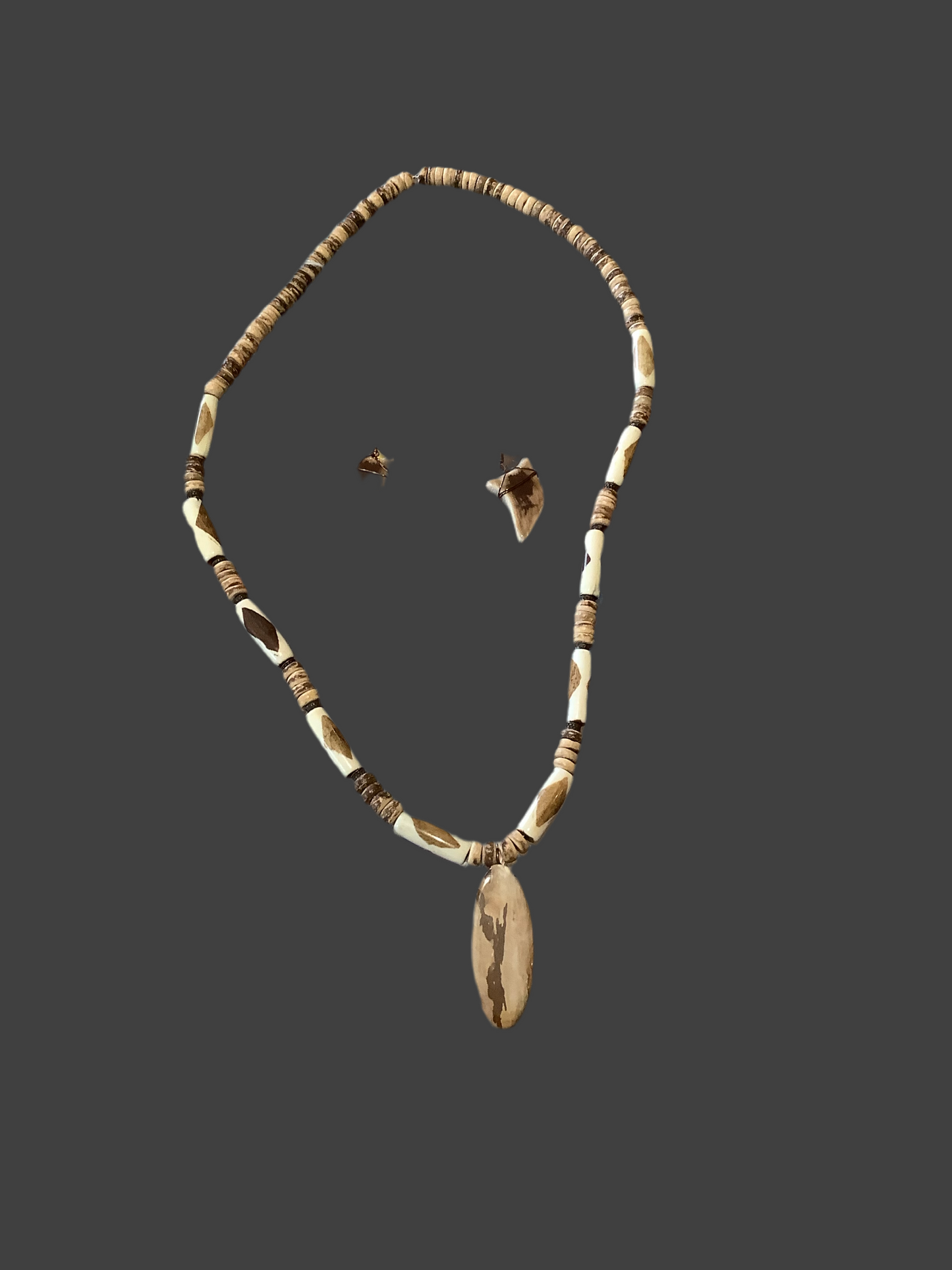 # 17 petrified wood , seeds,copper horn - CD