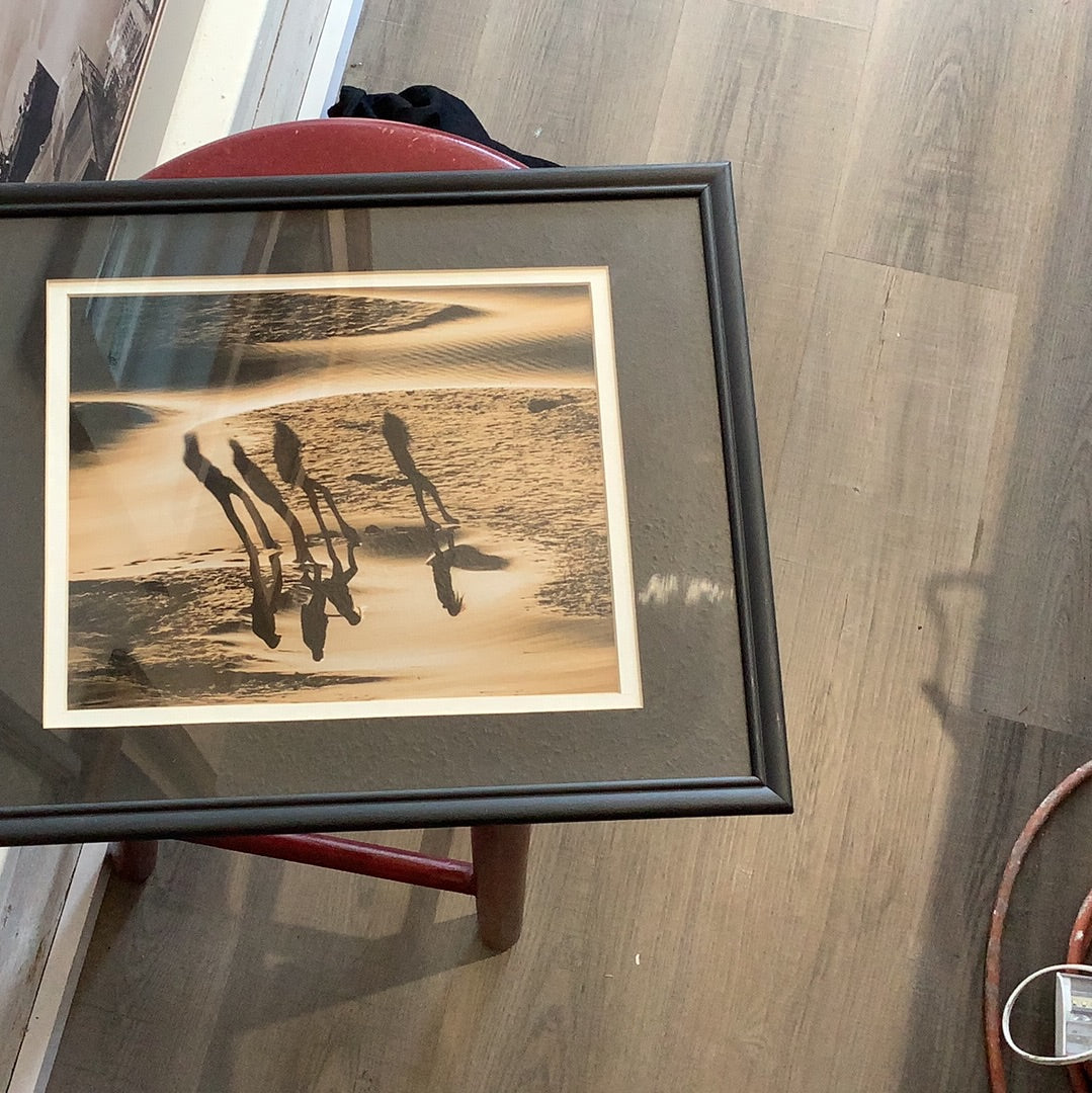 Shadow wall art print. CC