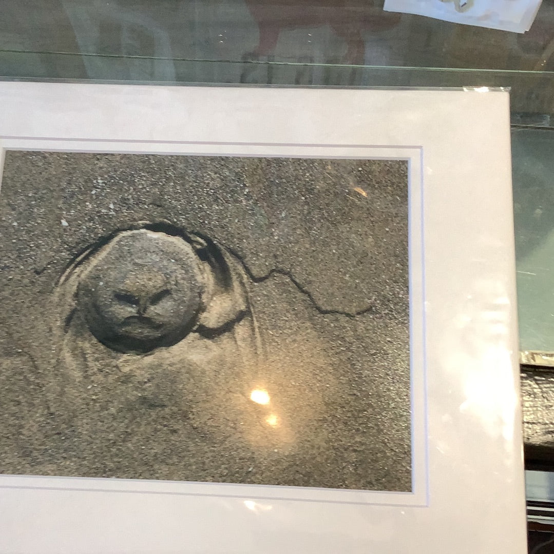 Art print The Grumpy Jellyfish. CC