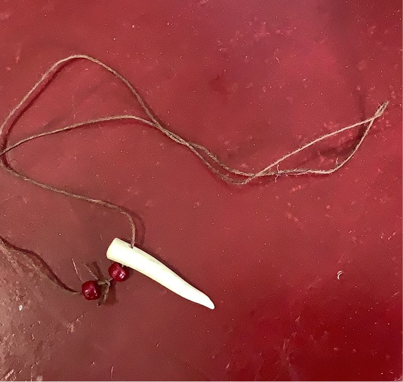 Deer Antler necklace. Shed