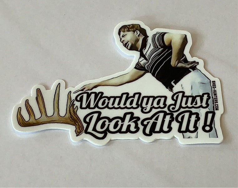 Would ya just look at it! - Decal -Shed