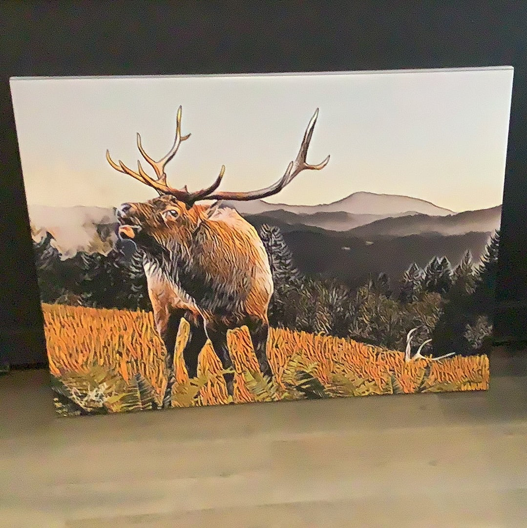 Art- Elk - mountain - Canvas - Shed