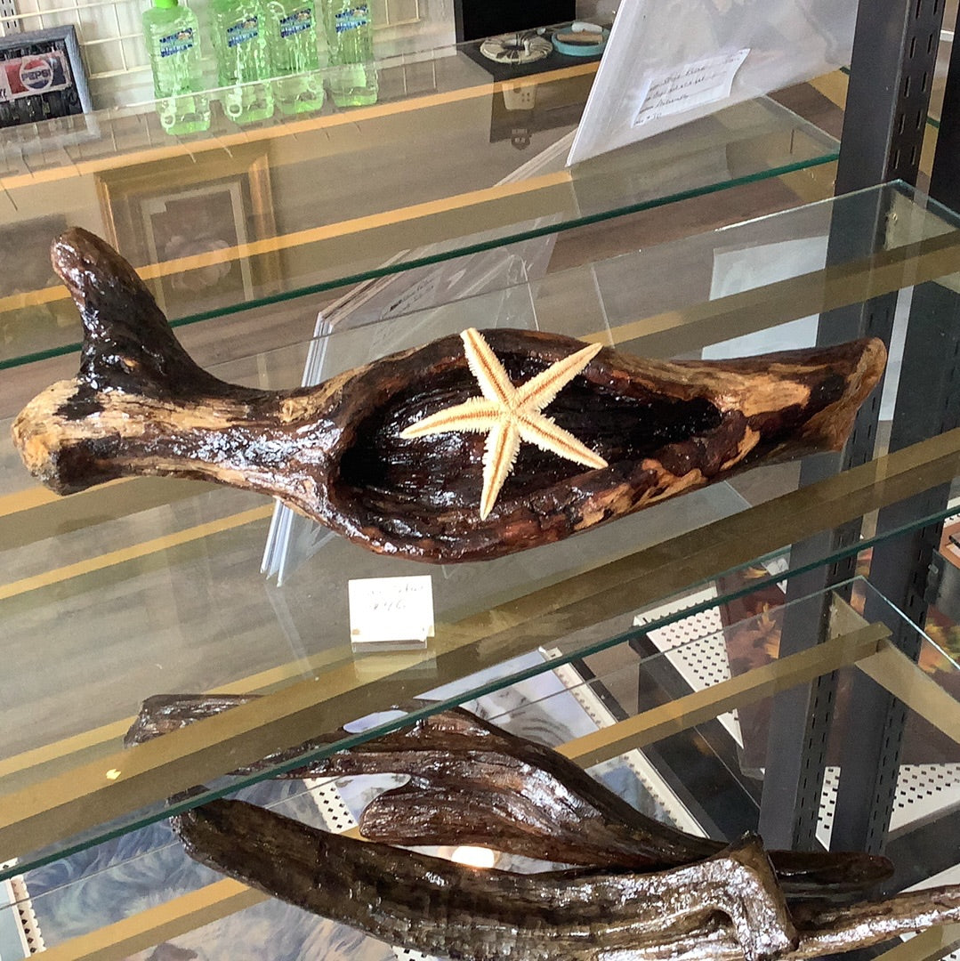 Kevin Smalley - Sea Star