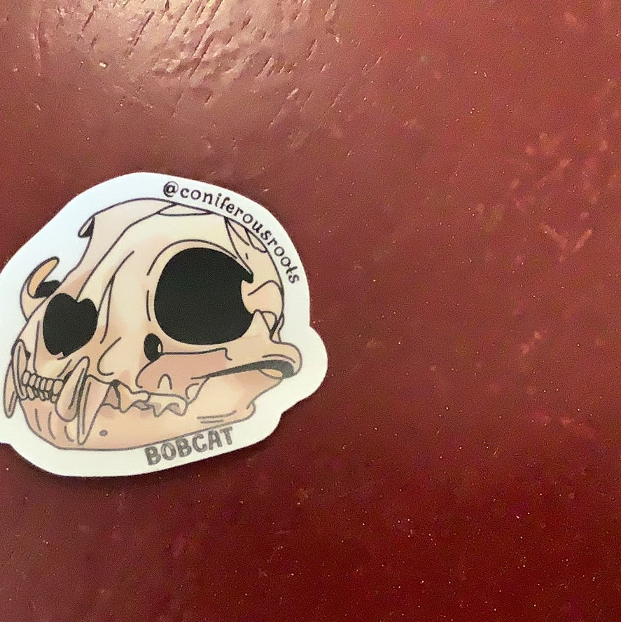 Bobcat skull decal - CC