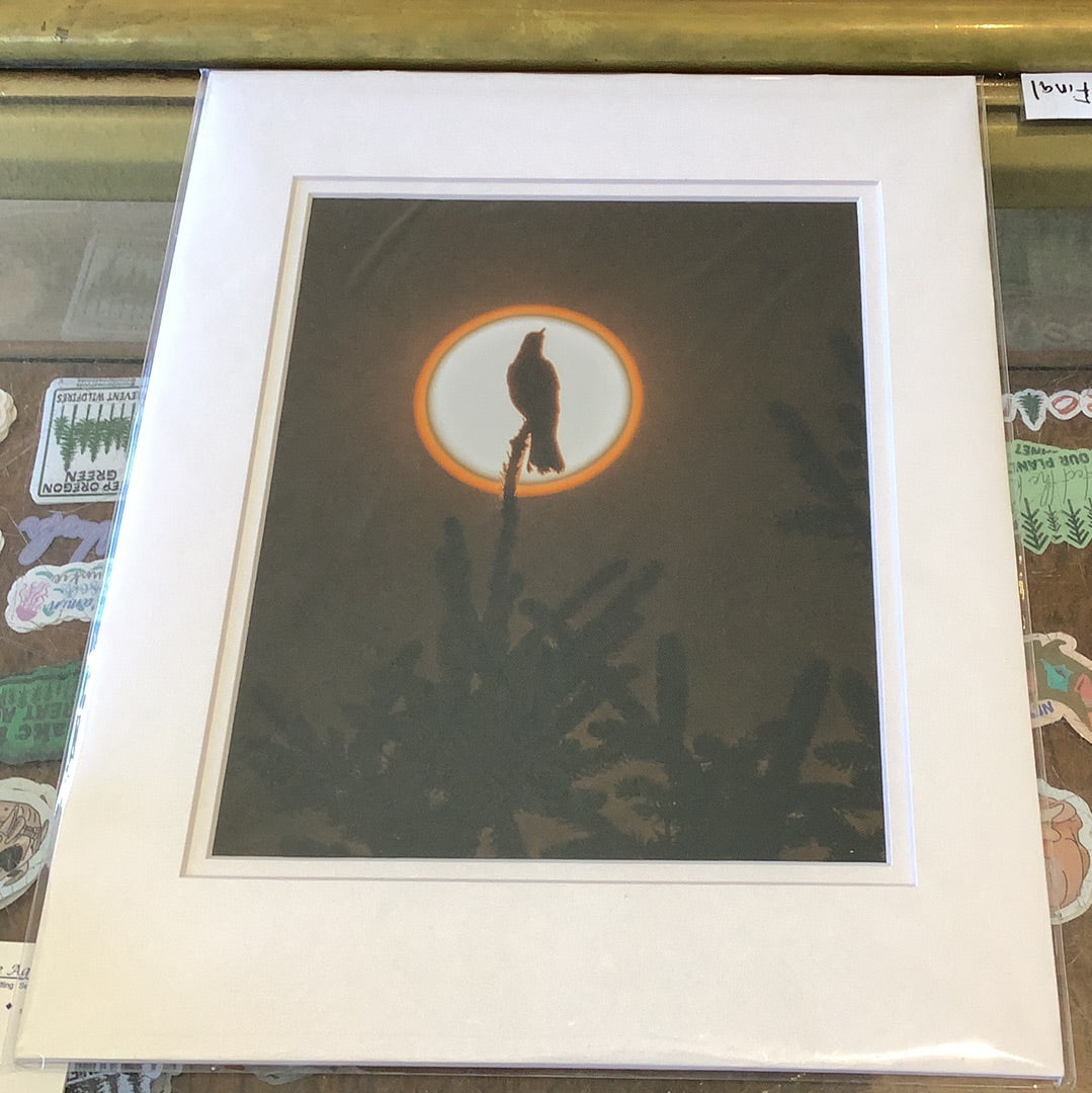 Wildfire bird - 11x14 SP