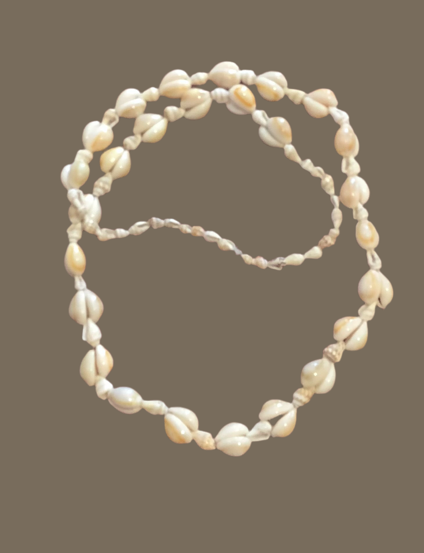 Shell necklace .CC