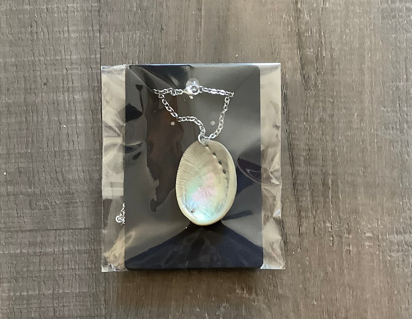 Abalone shell silver chain necklace