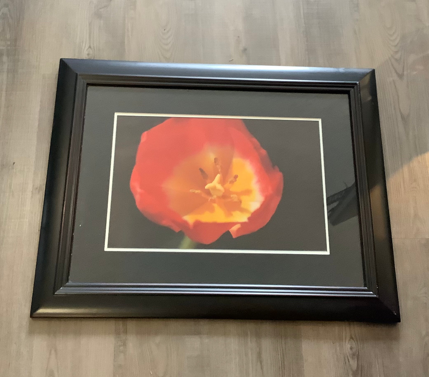 Red flower photo 35% discount  in frame.Cc