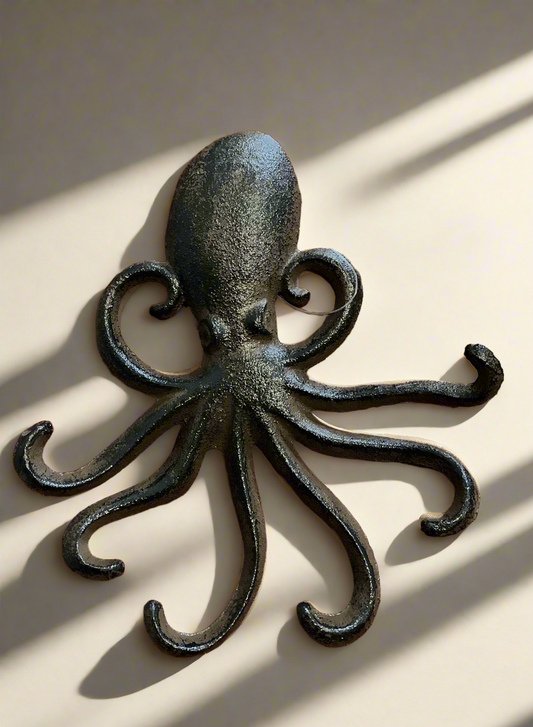 Octopus key hanger.Cc