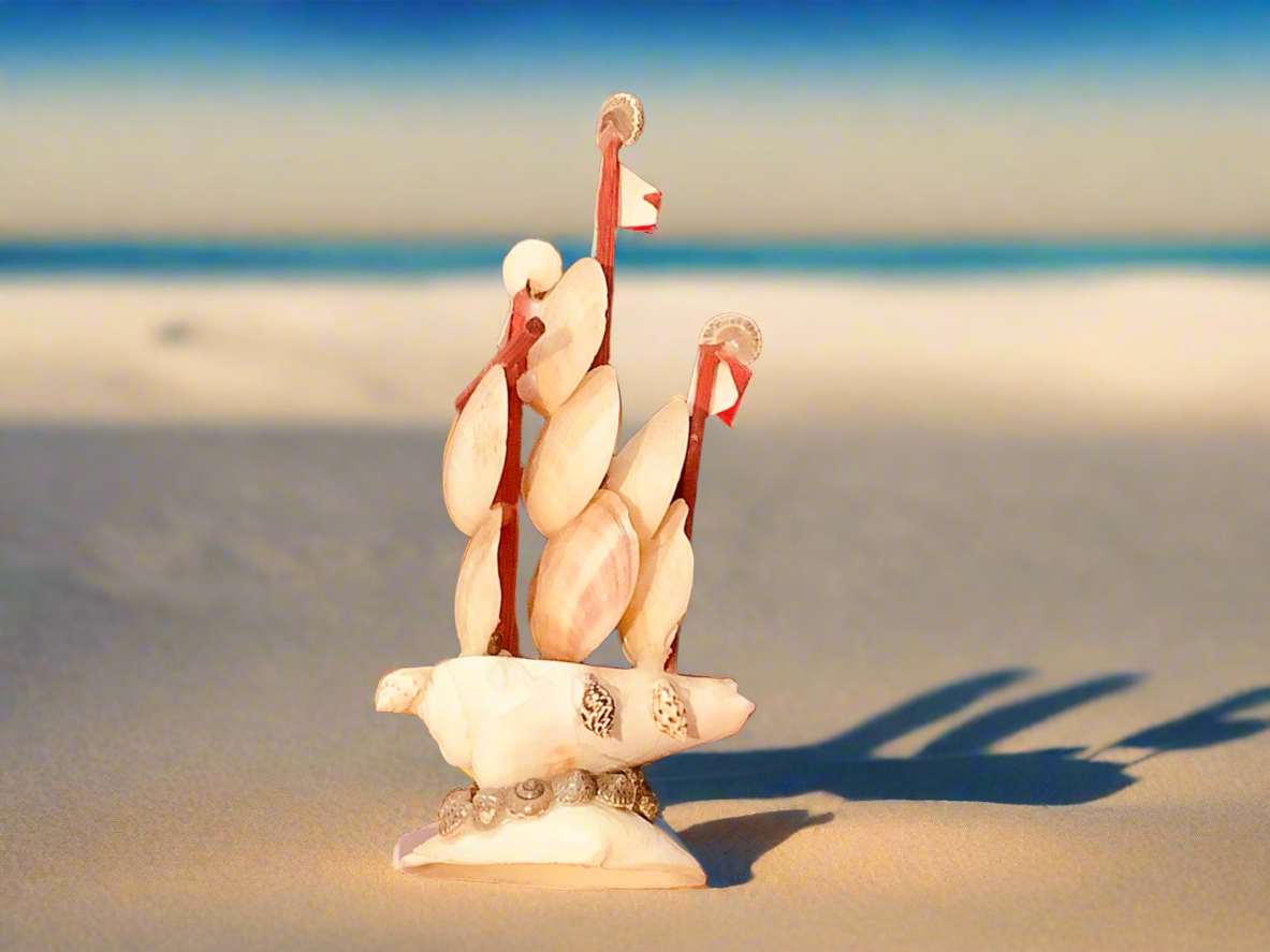 Sea Shell Sail Boat