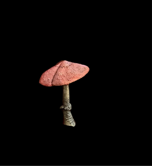 Mushroom magnet Small - Cc