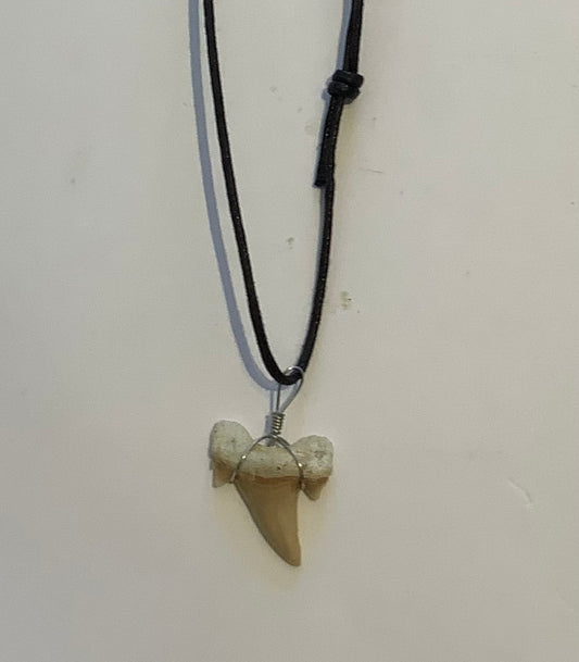 Shark tooth necklace black cord