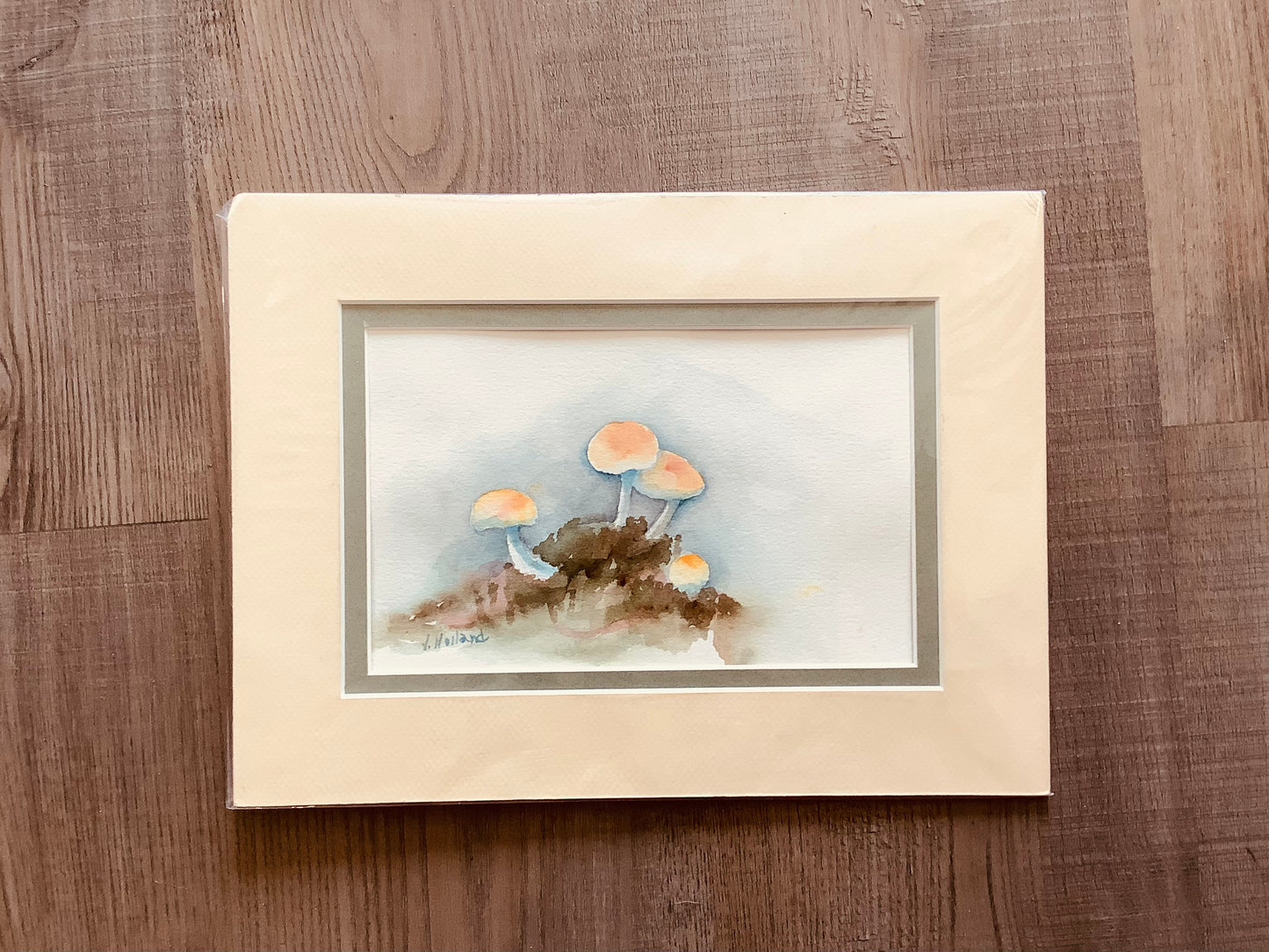 Mushroom study  watercolor . CC