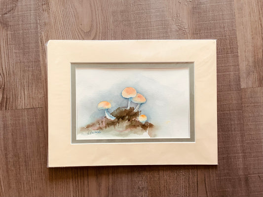 Mushroom study  watercolor . CC