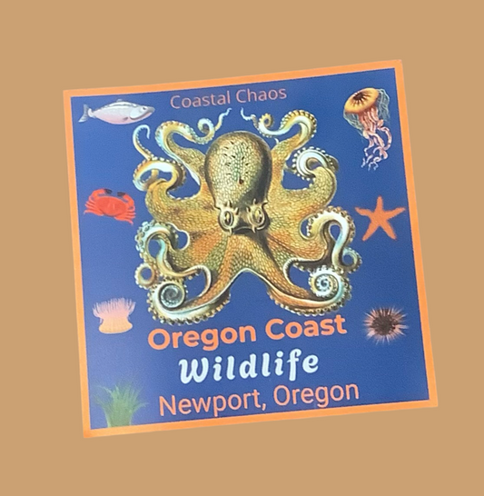 Octopus Magnet Wildlife   .Cc