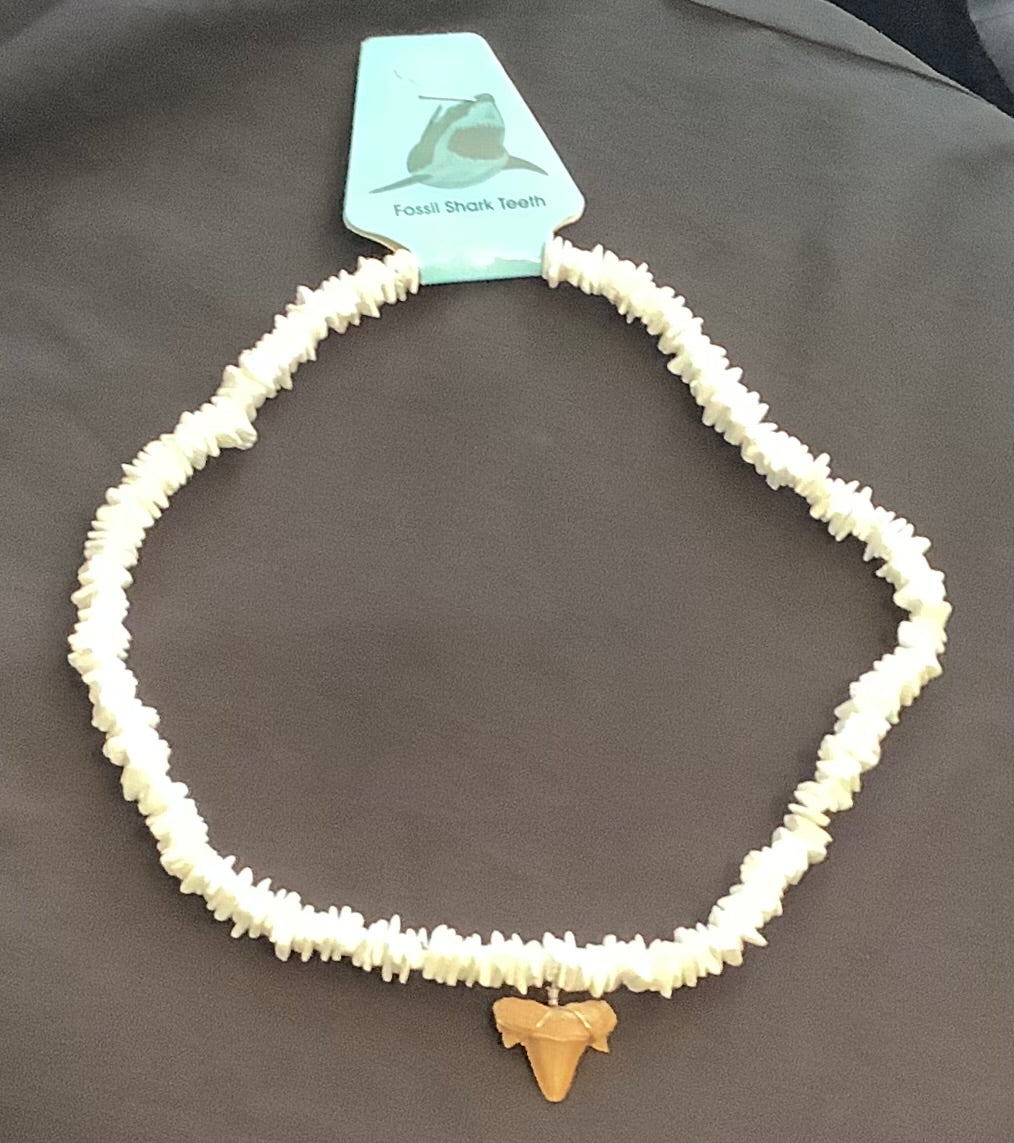 Shark tooth fossil necklace