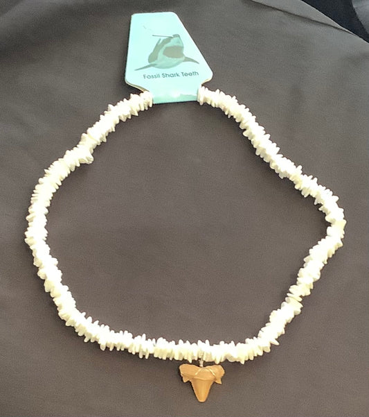 Shark tooth fossil necklace