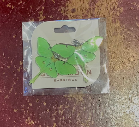 Moth earrings
