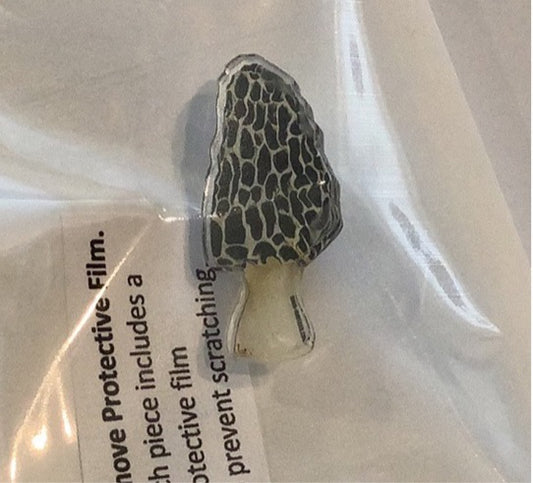 Pins - Mushroom - Shed