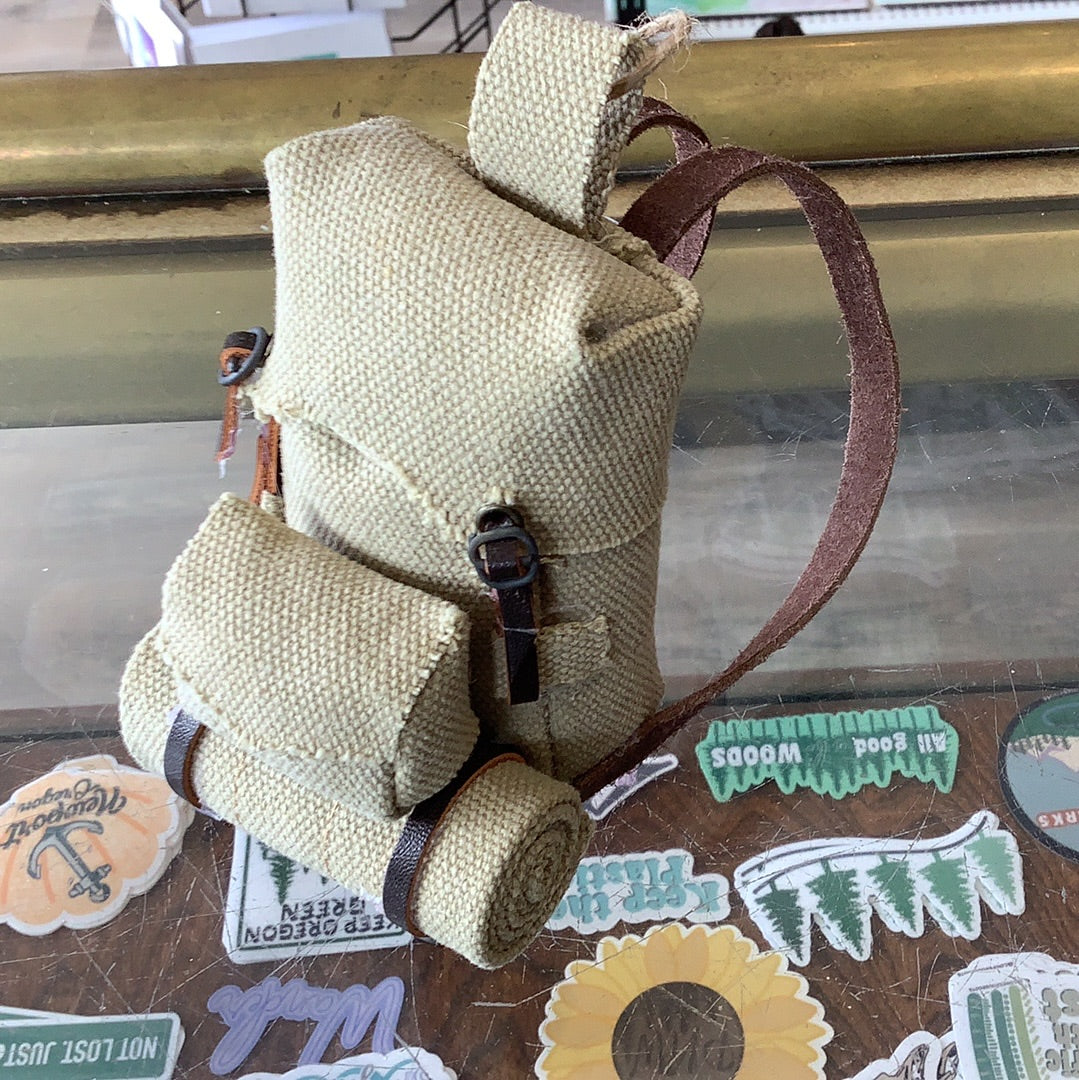 Mini Hiking Backpack. CC