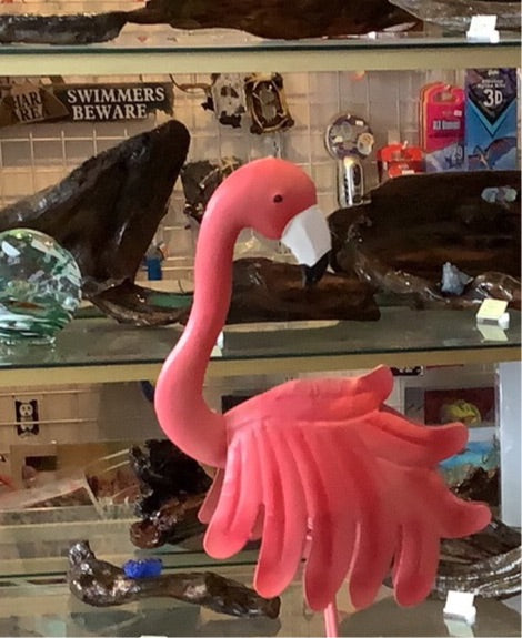 Pink Flamingo - CC