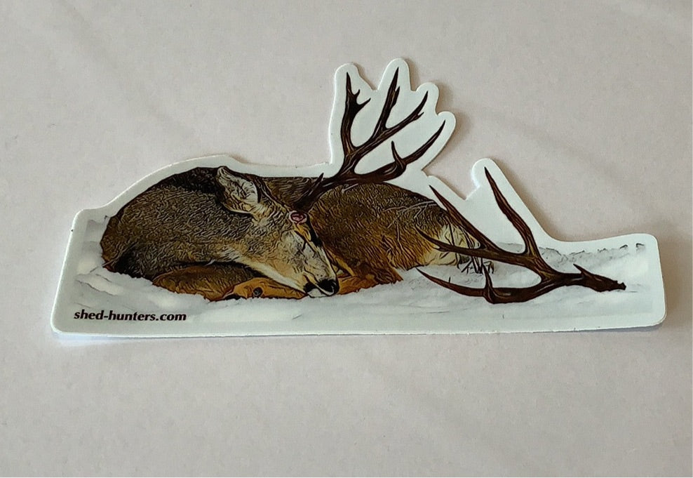 Deer asleep - Decal