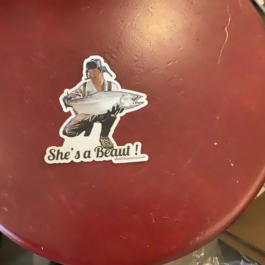 She’s a Beaut - Fish - Decal - Shed